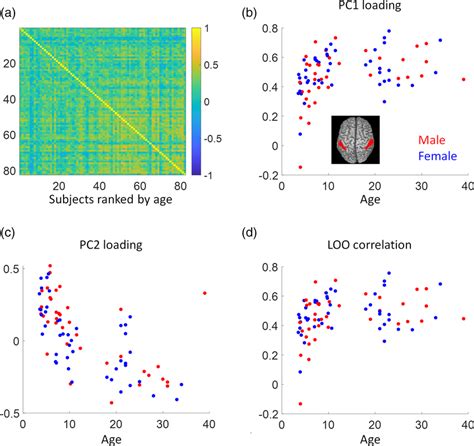 (a) Correlation matrix of the supramarginal gyrus network (independent ...