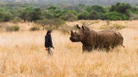 Rhino Conservation Program – Manyoni News