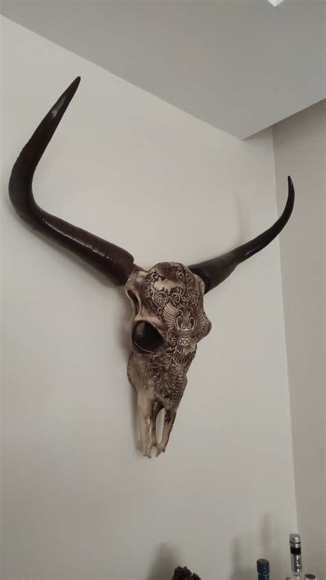 Longhorn Skull Wall Mount / Bull / Buffalo / Farmhouse Decor - Etsy