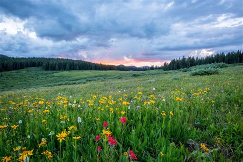 Free Images : landscape, nature, forest, wilderness, mountain, cloud, plant, sky, sunset, field ...