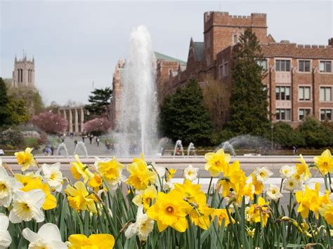 9 secret spots on the University of Washington Campus - Curbed Seattle