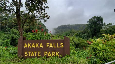 How to Visit Gorgeous Akaka Falls State Park (+ Map)