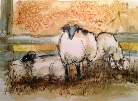 5 Original Sheep Cards Watercolor Prints of Originals - Etsy