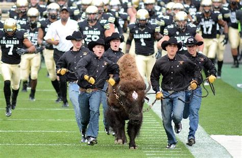 CU-Boulder: Buffalo mascot Ralphie’s handlers sport combat boots for ...