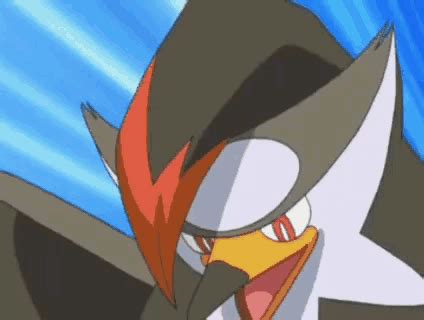 Staraptor Pokemon GIF - Staraptor Pokemon Pokemon staraptor - Discover & Share GIFs