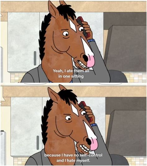 Say a bojack horseman quote that fits you : r/BoJackHorseman