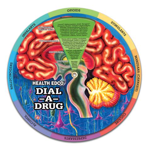 Drug Information Wheel For Health Education | Health Edco