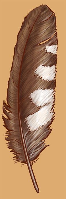 Owl Feather Tattoo | Feather Tattoo by ~cambium on deviantART Cool ...