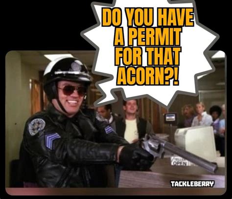 Don't forget your Acorn permit | /r/dankmemes | Florida Acorn Cop Shooting | Know Your Meme