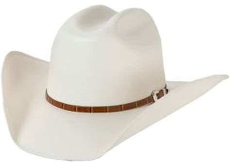 Stetson Stallion 100X Maximo Straw Cowboy Hat at Amazon Men’s Clothing store