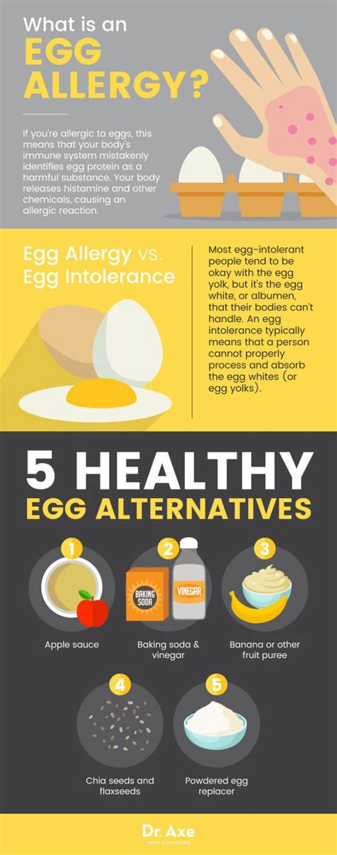 Egg Allergy & Intolerance + Healthy Egg Alternatives – General Health Magazine