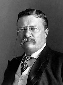 Theodore Roosevelt - Pax Germanica