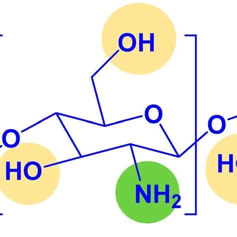 Chemical structure of chitosan. | Download Scientific Diagram