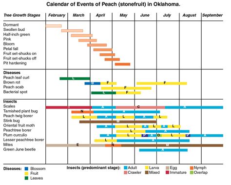 Home Tree Fruit Production and Pest Management | Oklahoma State University