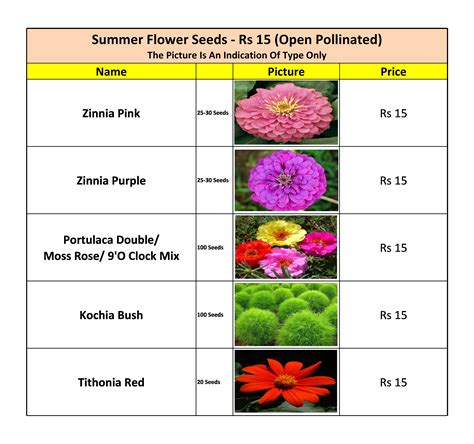 Summer Flower Seeds/ Bulbs List — Kitchen Home Gardener