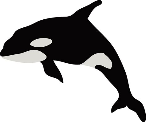 Killer Whale Clipart - Transparent Killer Whale Silhouette - Png ...