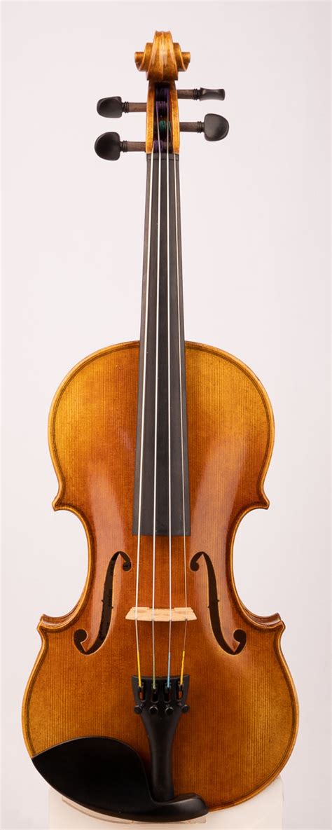 Violin Shop Tampa - Intermediate Violin Model V300