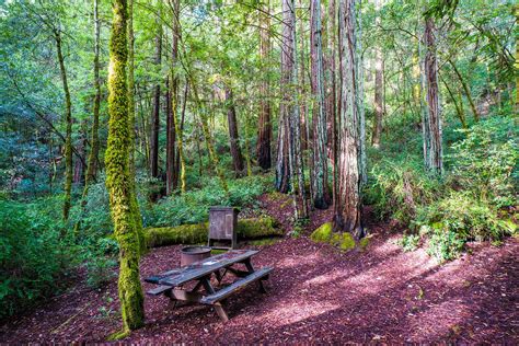 Hidden Springs Campground