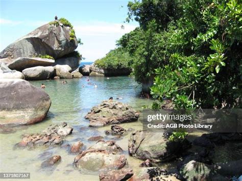 73 Trindade Island Stock Photos, High-Res Pictures, and Images - Getty Images