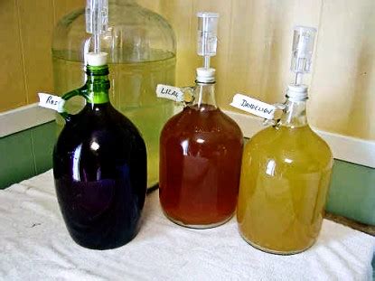 Making Organic Wine at Home - Farm Bell Recipes