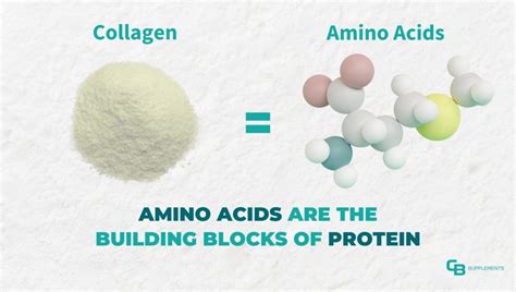 What Amino Acids are in Collagen? Is the profile unique?