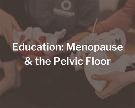 Education: Menopause & the Pelvic Floor | ReConnect+