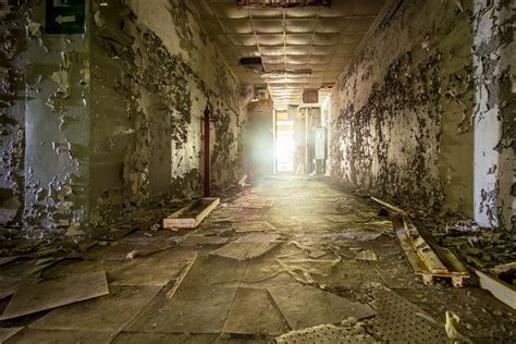 What Is Chernobyl Like Today? | Scientific American