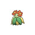 Bellossom Pokédex: stats, moves, evolution & locations | Pokémon Database