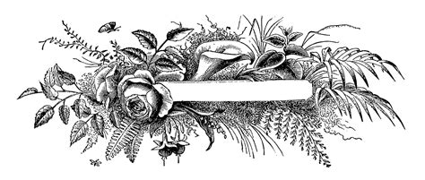Digital Stamp Design: Royalty Free Floral Banner Labels Victorian Rose Morning Glory Designs