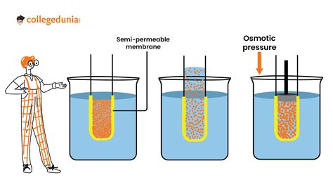 Osmotic pressure can be increased by