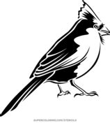 Stencil of Kiwi Bird | Free Printable Papercraft Templates