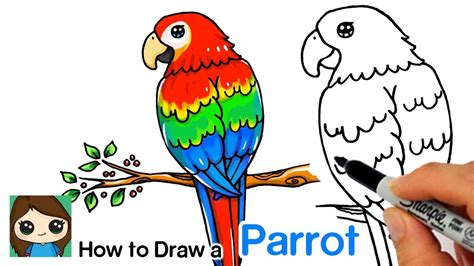How to Draw a Parrot (With images) | Drawings, Parrot drawing, Cute drawings