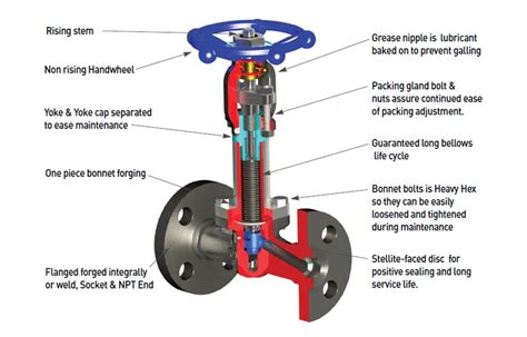 What is a Globe valve? What is a Bellows Seal Valve ? - V2P Thế giới van công nghiệp