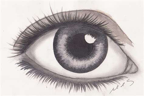 Realistic Eye Drawing by mhylands on DeviantArt
