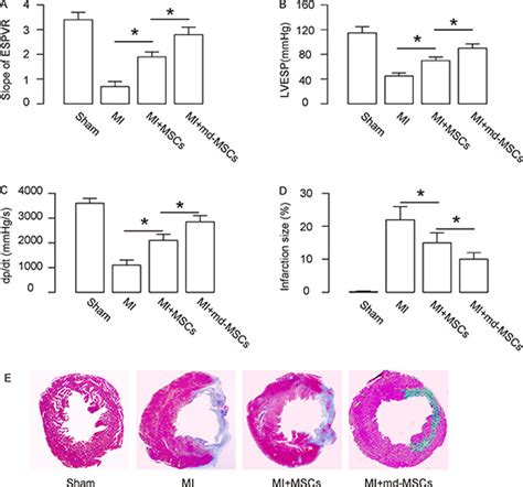 Improvement of therapeutic effects of mesenchymal stem cells in myocardial infarction through ...