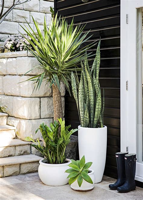Planting Ideas For Outdoor Pots | 2019 Landscaping Ideas In Luxembourg