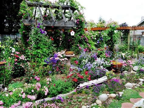 Cottage Garden Plants | HGTV