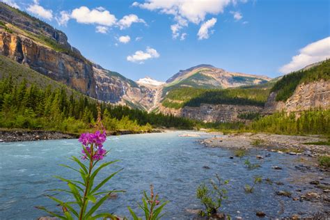 How to Hike the Berg Lake Trail in Mount Robson Provincial Park