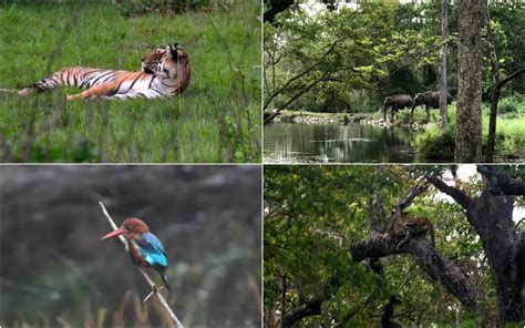 Kabini | Your Complete Guide to Captivating wilderness!