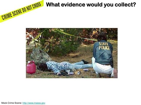 PPT - Crime Scene Basics PowerPoint Presentation, free download - ID ...