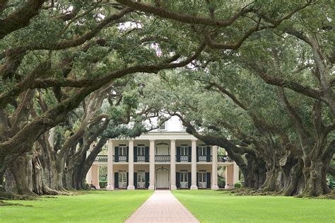 pathway, surrounded, grass, trees, tree, oak, plant, flora | Piqsels