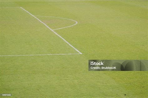 Soccer Pitch Markings Stock Photo - Download Image Now - Agricultural ...