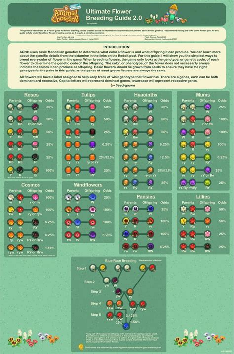 animal crossing flower breeding chart - Nola Mcknight