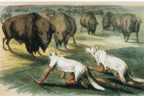 Native Americans Camouflaged for Buffalo Hunt Poster Print by Science Source - Walmart.com