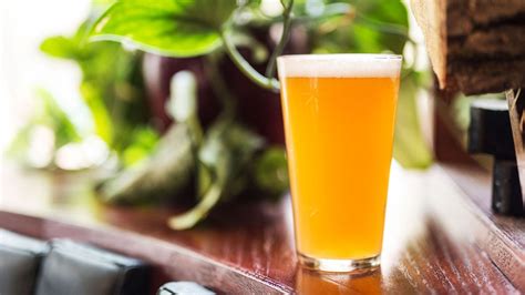 Demystifying Craft Beer: What's An IPA? - Vietcetera