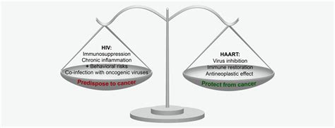 HIV‐1, HAART and cancer: A complex relationship - Shmakova - 2020 - International Journal of ...