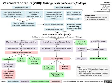 chronic kidney disease | Calgary Guide