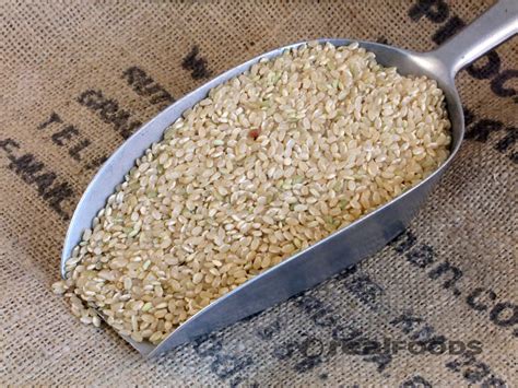 Organic Short Grain Brown Rice from Real Foods Buy Bulk Wholesale Online