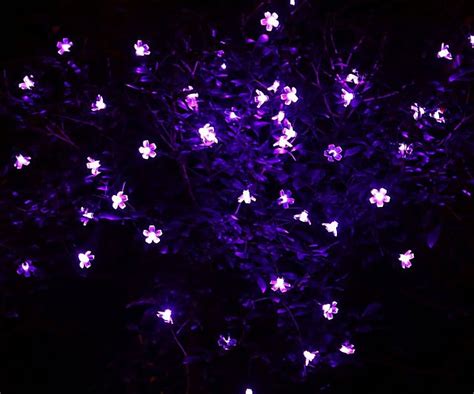 Solar Powered Fairy Lights