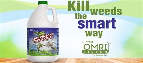 Green Gobbler Vinegar Weed & Grass Killer Review: Going Vegan and Cleaning Weeds in My Lawn